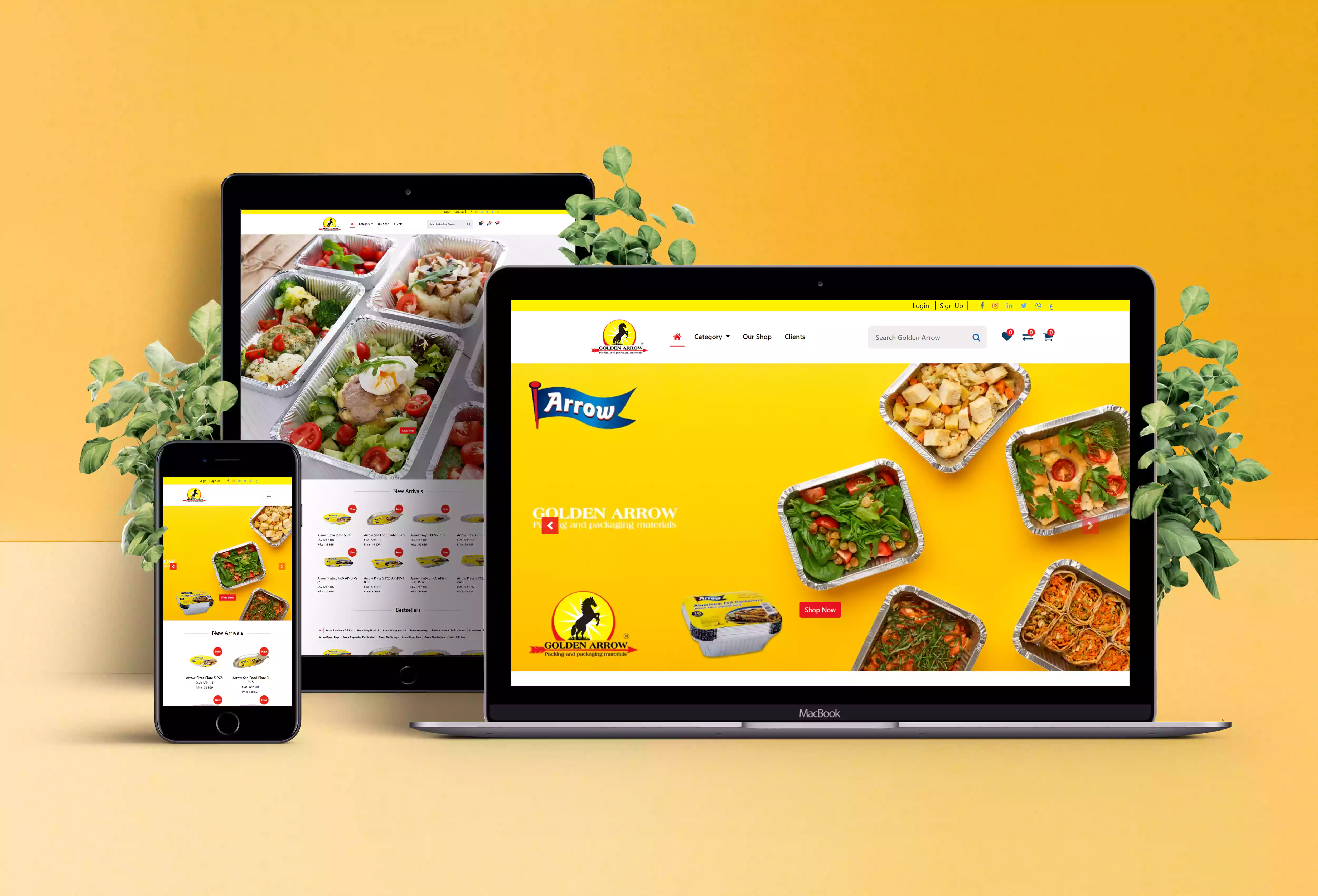 Golden Arrow E-Commerce Website Design and Development